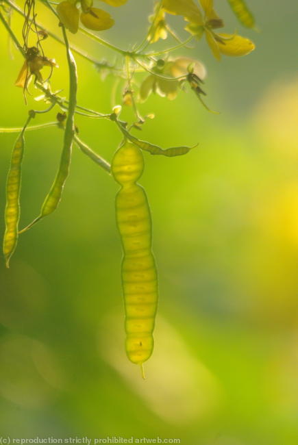 a warm day in Thailand