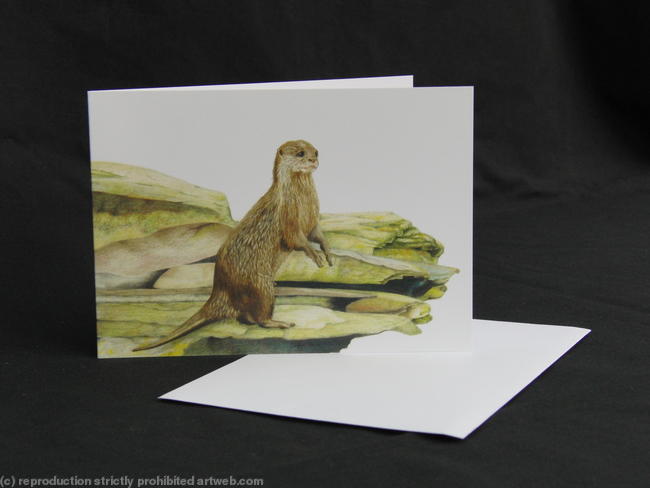 Otter - Vantage Point