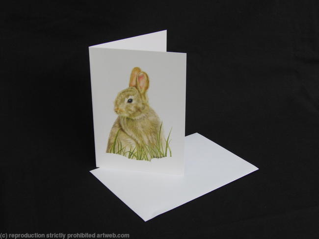 Rabbit - A Peaceful Afternoon