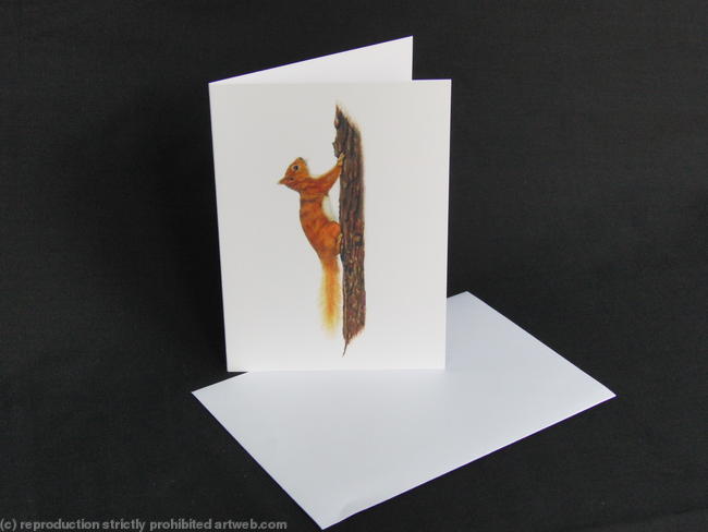 Red Squirrel - Quick Escape