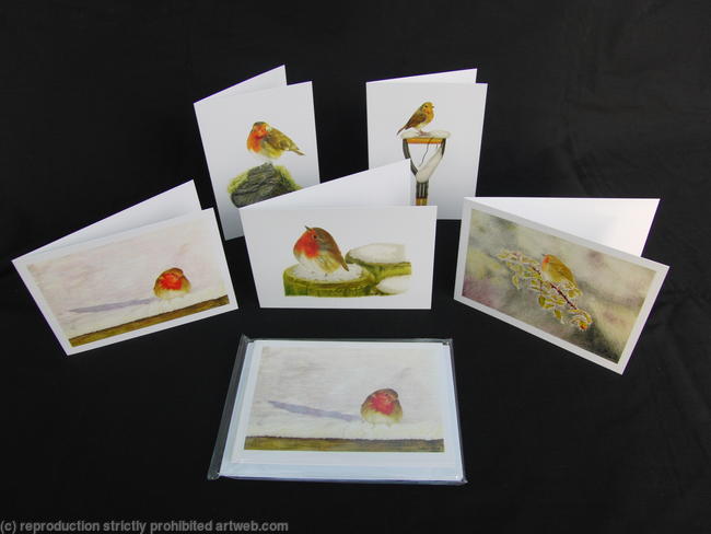Christmas Card Selection - Pack of 5