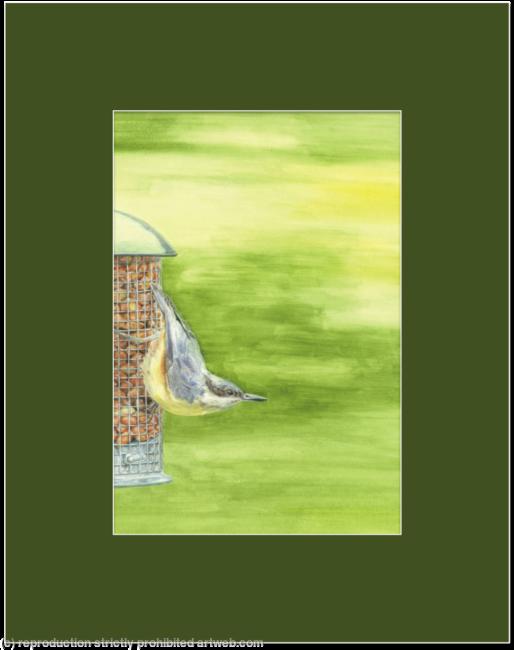 25. Nuthatch - Summers Day