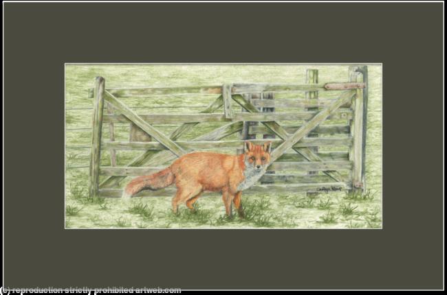 73. Fox – Gate keeper