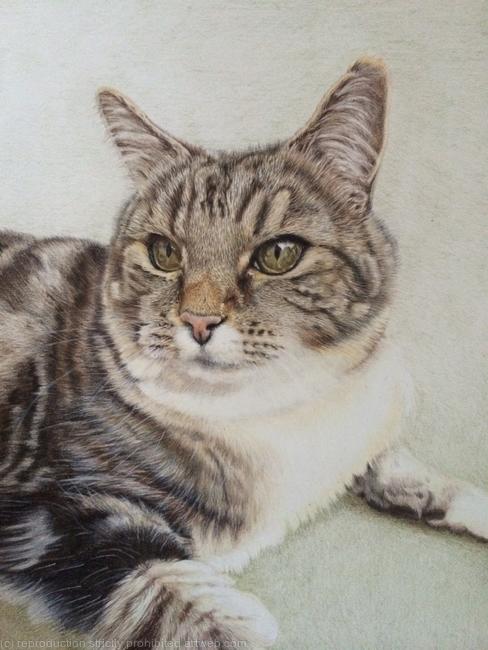 95. Cat - Contentment