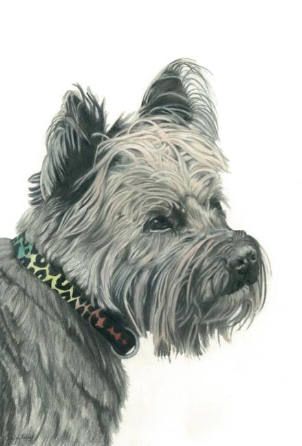 96. Cairn Terrier - Charming Charlie