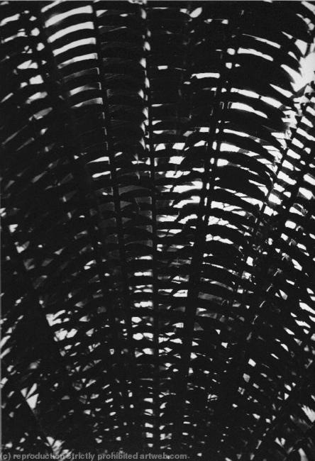 Kew Gardens6