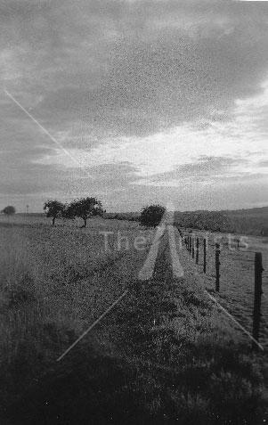 Germany (field)