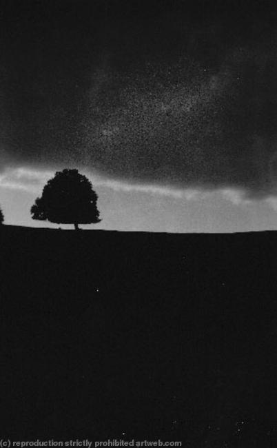 Germany (tree in field)