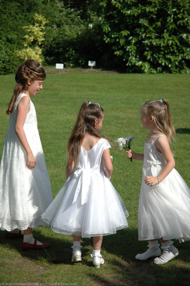 Wedding2