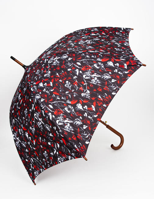 red and black umbrella