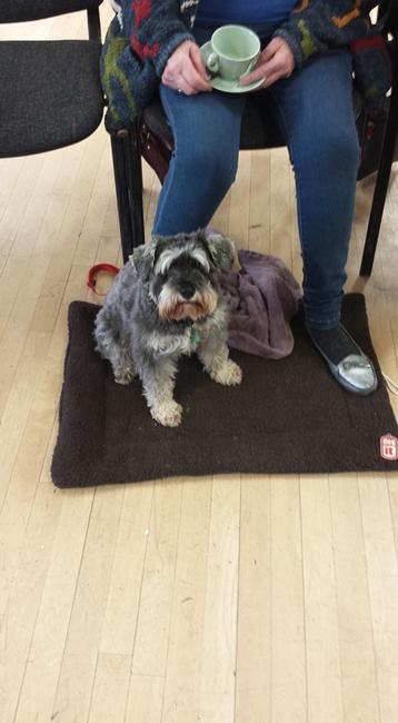 A furry artist! Lilley Workshop