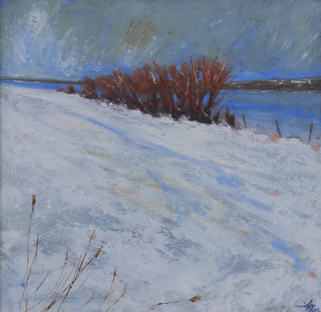 Willows More Snow