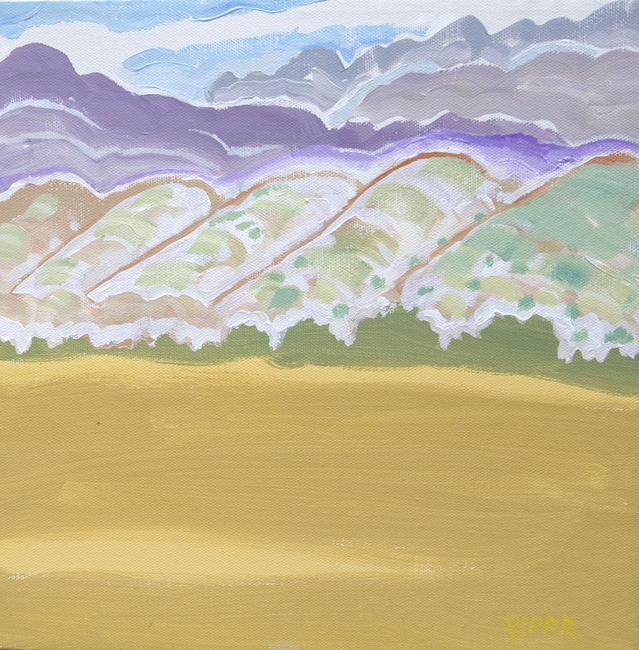 Desert Shadow