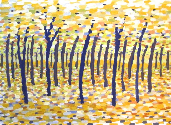 Beech Trees