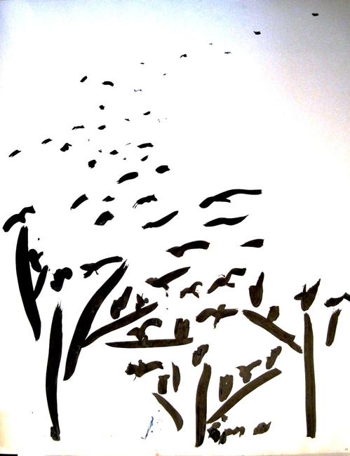 birds nesting