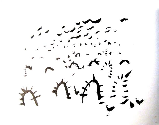 desert birds