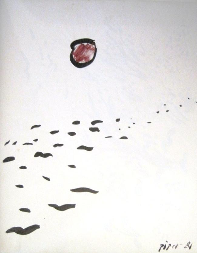 birds and sun