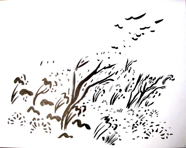 alighting birds