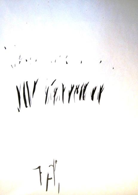 distant trees
