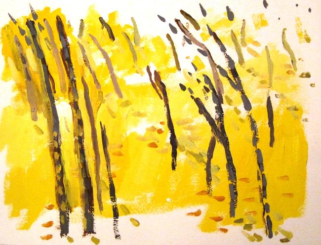 beech trees