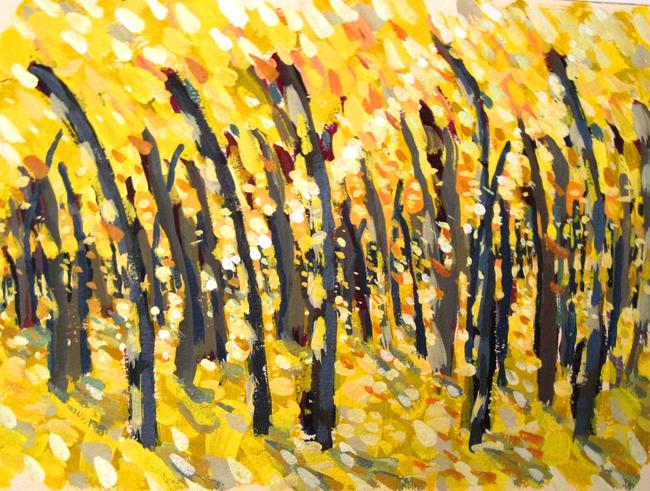 beech light