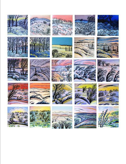 snow fields 2011