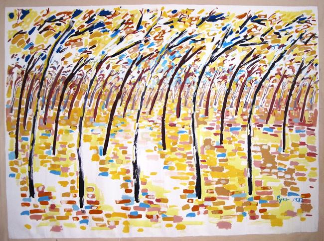 beech forest 1982