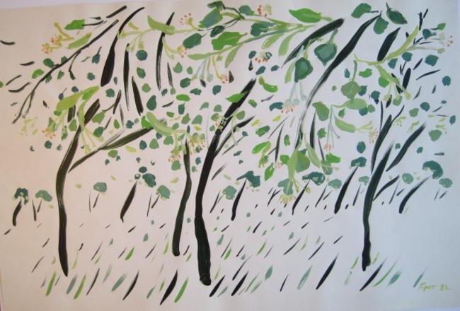 spring lindens