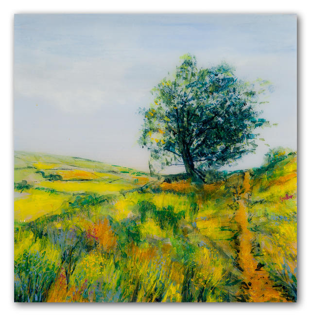 Yorkshire Walks 1