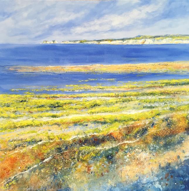 Looking at Harry (Studland Bay)