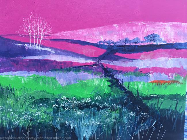 Magenta Meadows