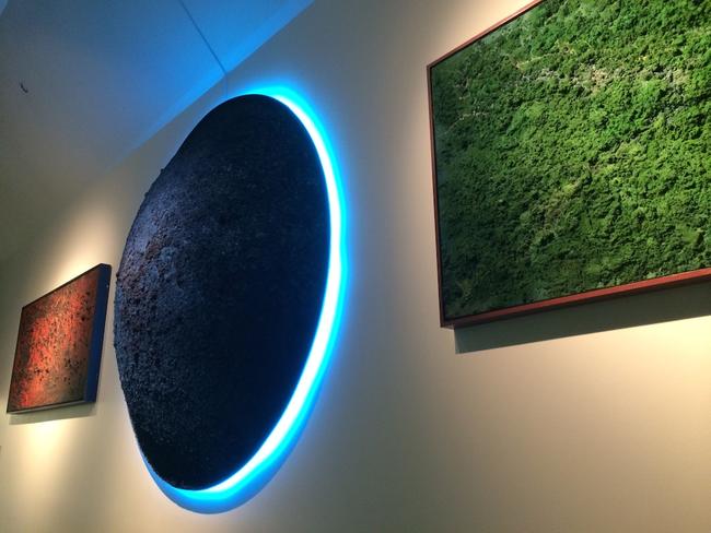 Blue Host-Nashville International Airport