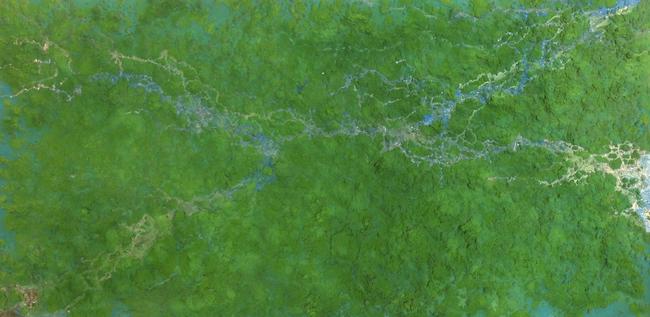 Tributaries