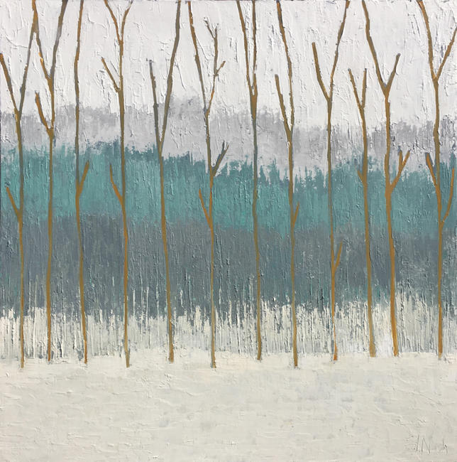 Morning in the Forest