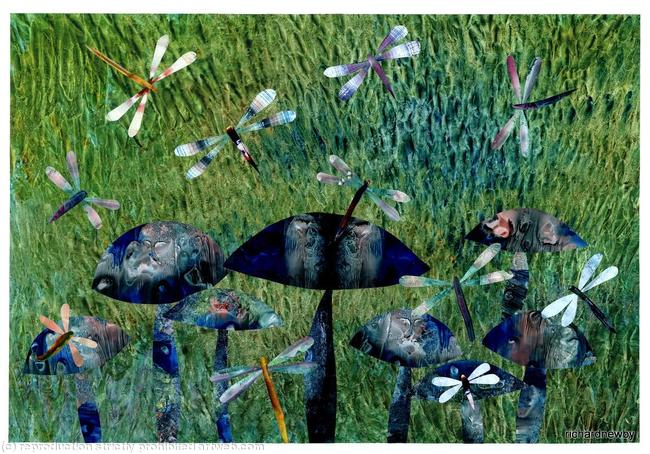 Dragonflies