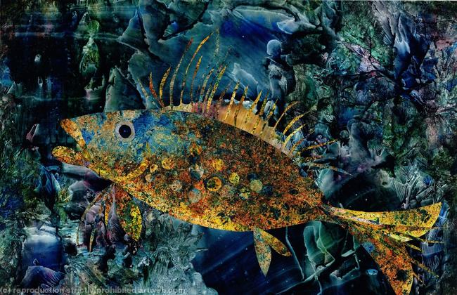 One Fish