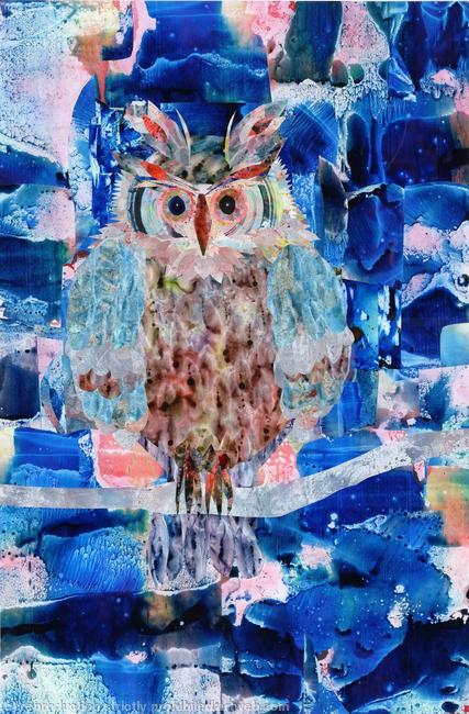Owl on a Branch