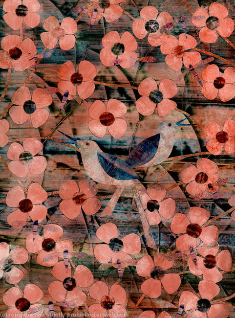 Two Birds