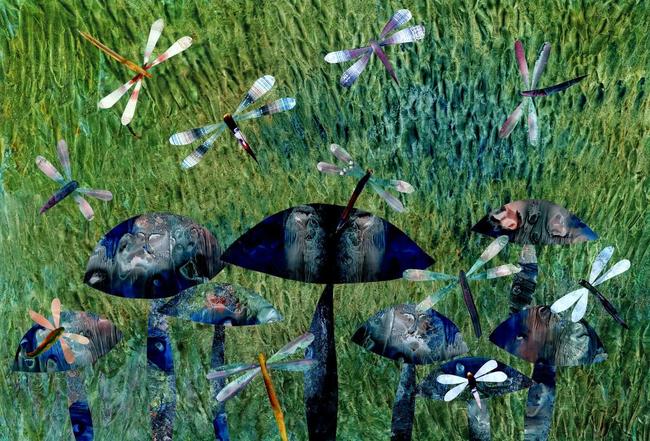 Dragonflies