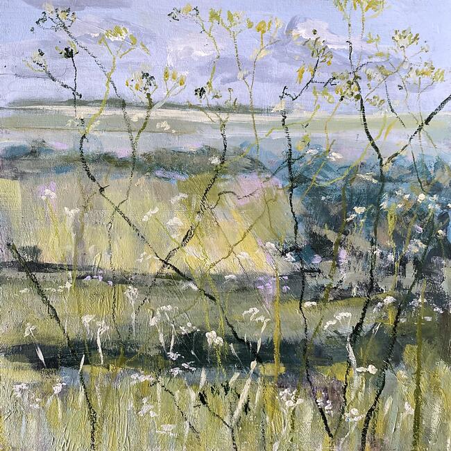 Last Of The Cow Parsley