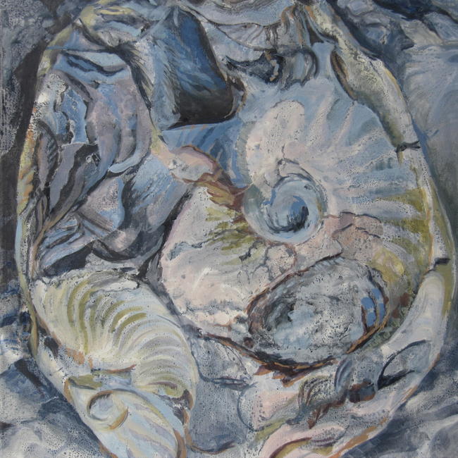 Port Mulgrave fossils