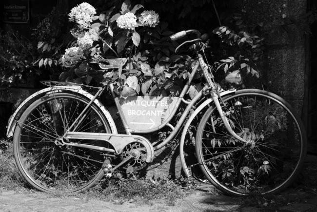 Vieux Cycle