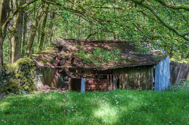 The Shack