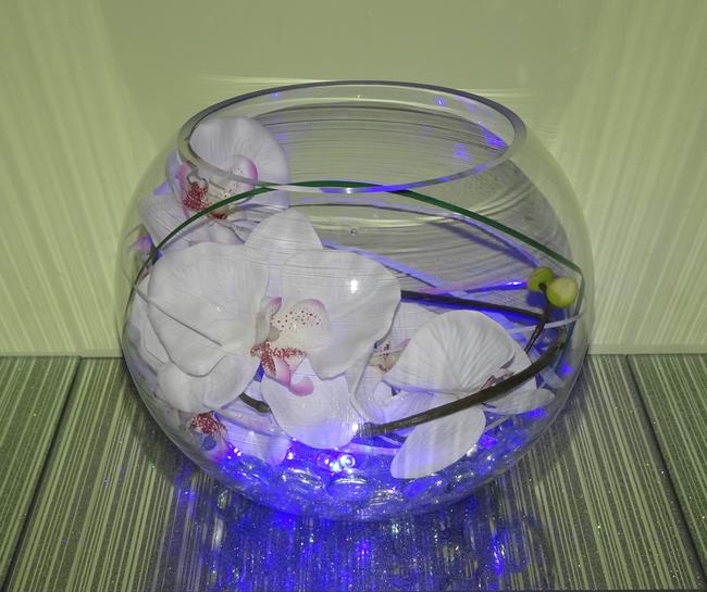 Orchid Bowl (blue lights)