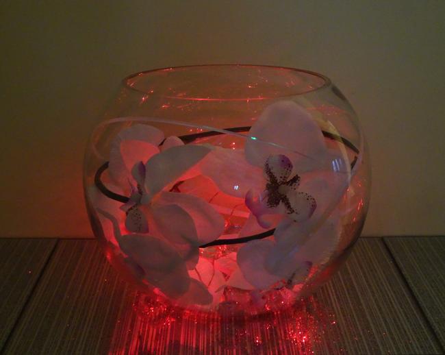Orchid Bowl (red lights)