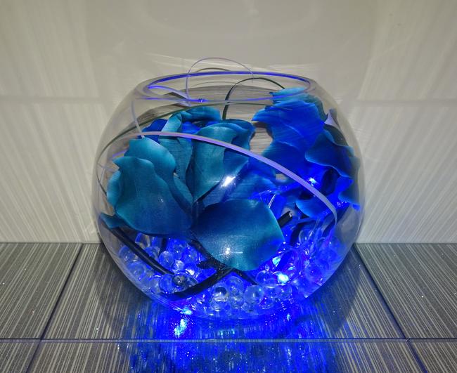 Turquoise Bowl (blue lights)