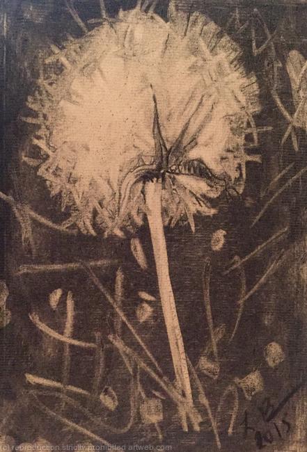 Dandelion