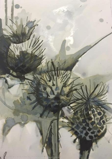 Thistles in the rain