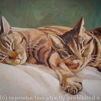 Sleeping Beauties