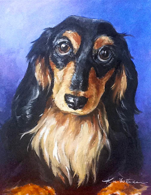 Little Dachshund